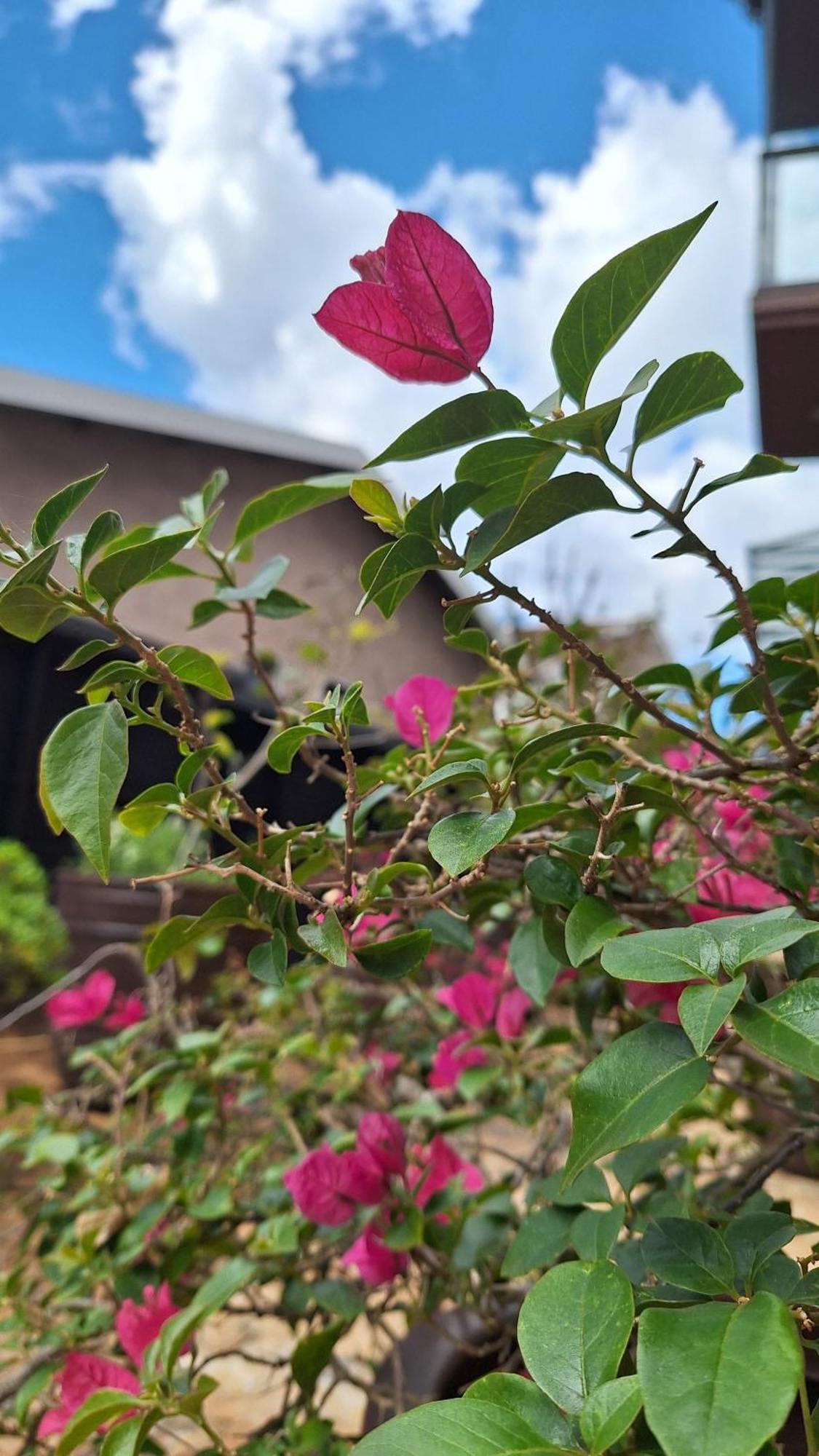 Nosso Loft Encantador Em Campos do Jordão Esterno foto